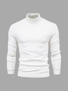 Marius | Herren Rollkragenpullover Modern Fit