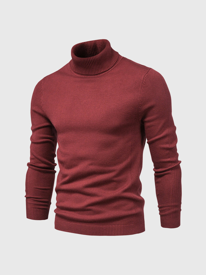 Marius | Herren Rollkragenpullover Modern Fit