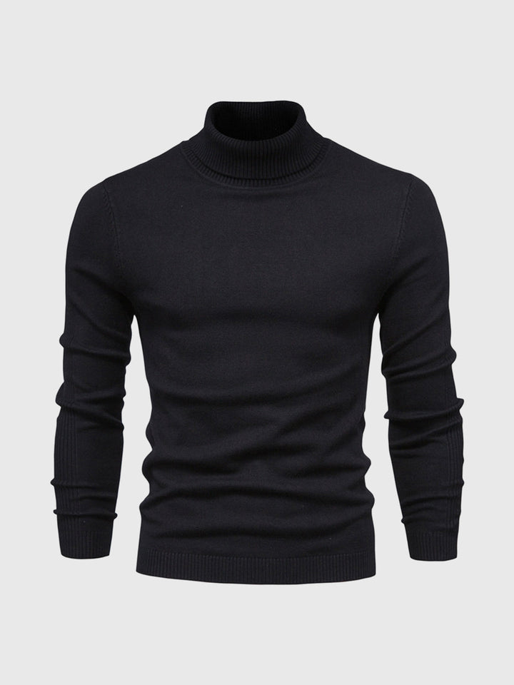 Marius | Herren Rollkragenpullover Modern Fit