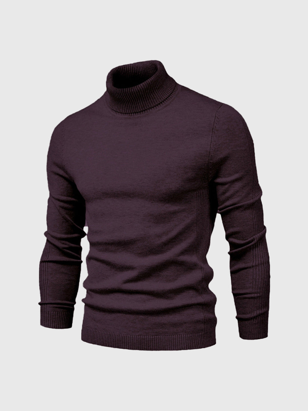 Marius | Herren Rollkragenpullover Modern Fit