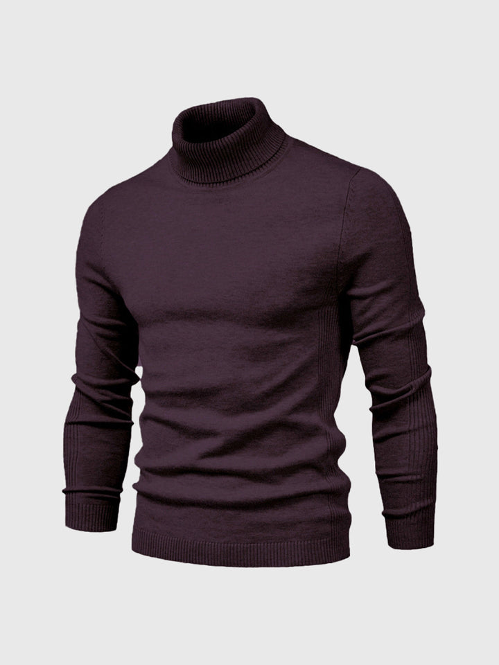Marius | Herren Rollkragenpullover Modern Fit