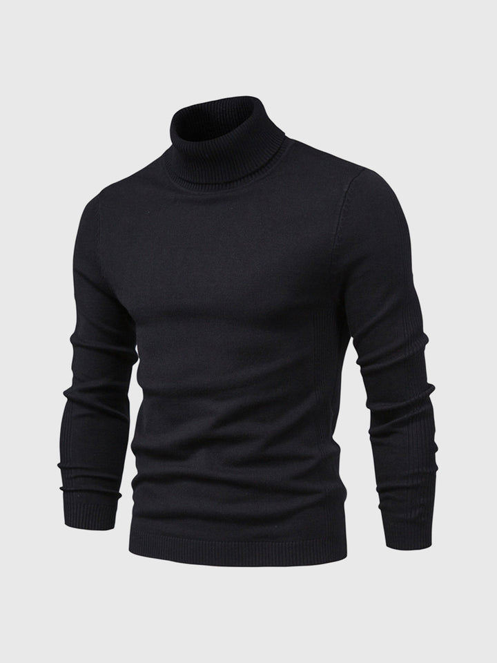 Marius | Herren Rollkragenpullover Modern Fit