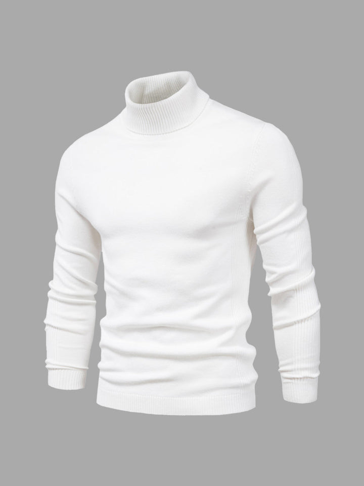 Marius | Herren Rollkragenpullover Modern Fit