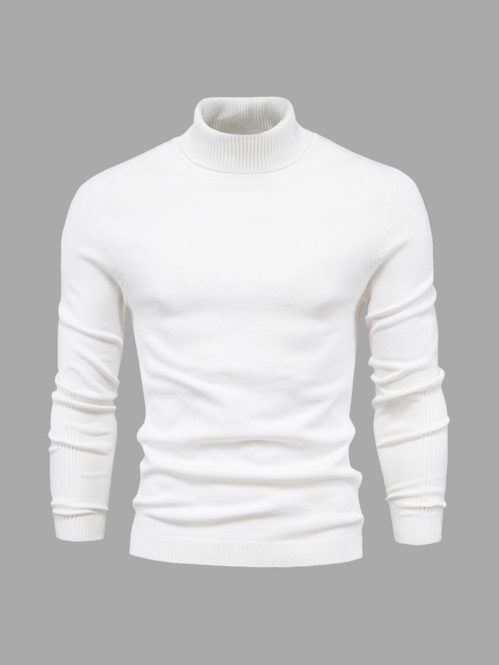 Marius | Herren Rollkragenpullover Modern Fit