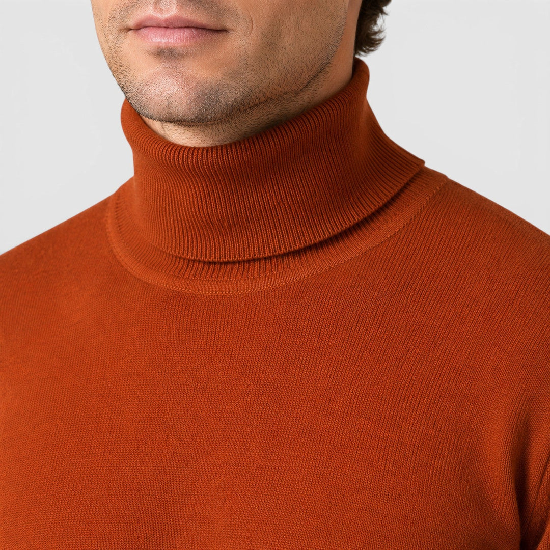 Armin | Herren Rollkragenpullover locker