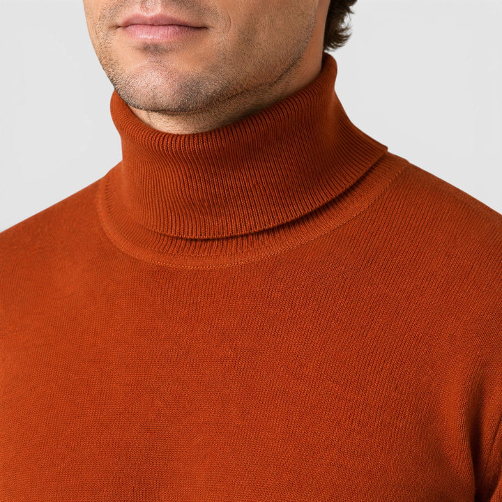 Armin | Herren Rollkragenpullover locker